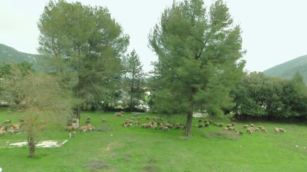 Hébergement de vacances Saint Clair - Escapade à